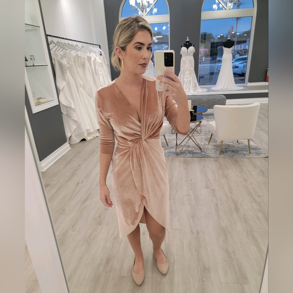 Zara Blush Velvet Dress